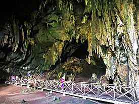 Cueva de las Lechuzas, al Parc Nacional de Tingo María05.jpg