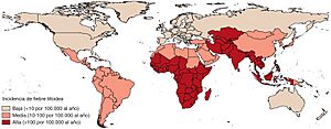 Archivo:Distribución global de la fiebre tifoidea.