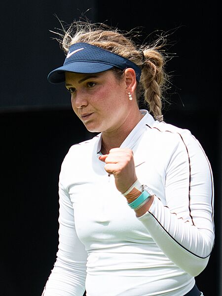 Donna Vekić (52171230817) (cropped)