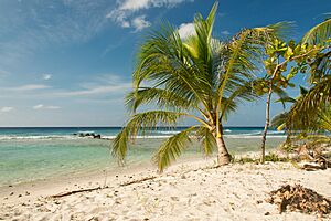 Archivo:Drill Hall Beach Barbados