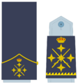 Ejerairedivies30