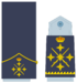 Ejerairedivies30.svg