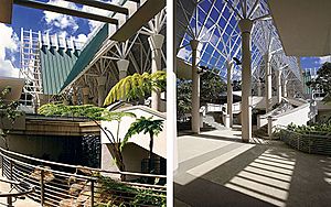 Archivo:El Portal Rainforest Center, central space