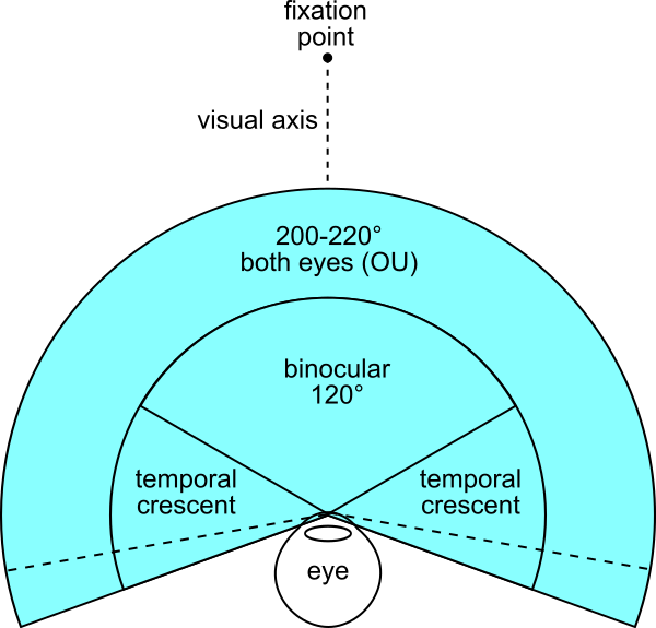 FOV both eyes