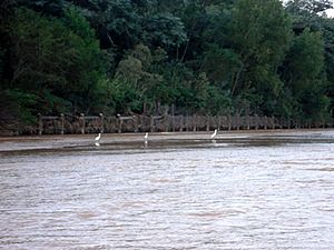 Archivo:Foto wikipedia rio pirai