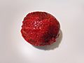 Fruto de Stenocereus queretaroensis