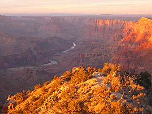 Archivo:Grand Canyon National Park-Arizona1511
