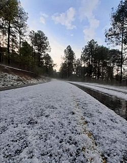 Archivo:GranizadaCarreteraTlacotepec