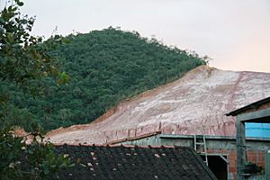 Archivo:Hillside deforestation in Rio de Janeiro