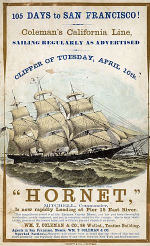 Archivo:Hornetclippership