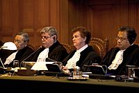 Archivo:ICJ-CJI hearing 1