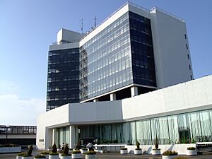 Archivo:Ichihara City hall