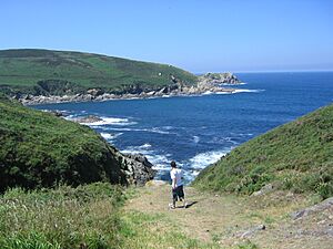Archivo:Isla de Ons ensenada de Caniveliñas