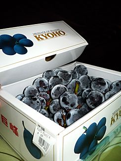 Japan's Kyoho Grapes.jpg