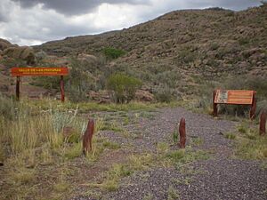 Archivo:LihueCalel057