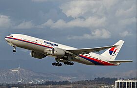 MAS plane.jpg