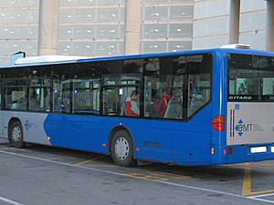 Archivo:Mallorca bus 1