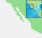 Archivo:Mexico - Cedros