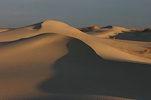Archivo:Monahans Sandhills at Sunrise