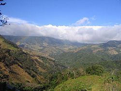 Archivo:Monte verde