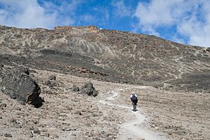 Archivo:Mweka Route to Barafu Huts