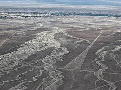Nasca lines 1