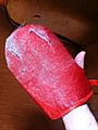 Pet mitt 3