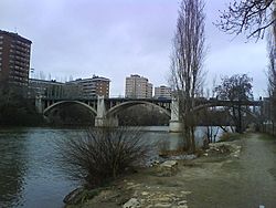 Archivo:Puente del Poniente en Valladolid 02