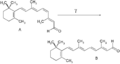 RetinalCisandTrans