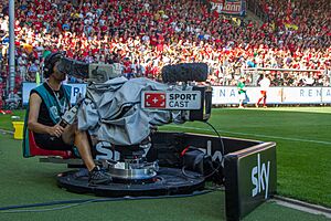Archivo:SC Freiburg vs FSVMainz 17 août 2013 60
