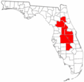 Sand Skink Habitats