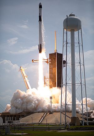 Archivo:SpaceX Demo-2 Launch (NHQ202005300041)