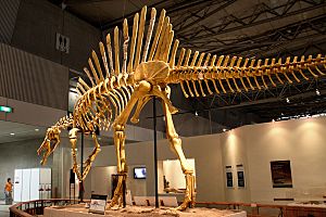 Archivo:Spinosaurus in Japan