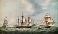 Swallow 1788
