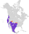 Thryomanes bewickii map