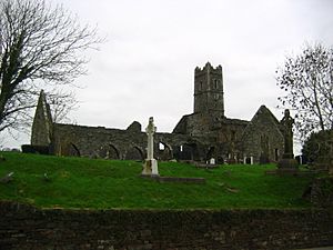 Archivo:Timoleague Abbey
