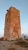 Torre del jaral (3)