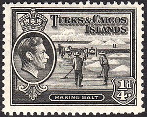 Archivo:Turks and Caicos Islands raking salt stamp 1938