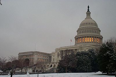 Archivo:United States Capitol (Winter)