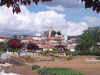 Vista parcial de Tórtola de Henares.jpg