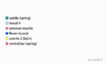 20220123 stomatopod strike mechanics spearing en