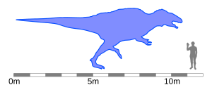 Archivo:Acrocanthosaurus size comparison