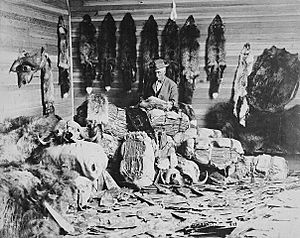 Archivo:Alberta 1890s fur trader