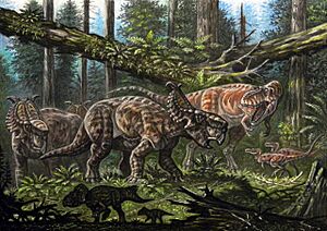 Archivo:Albertosaurus confronting Pachyrhinosaurus