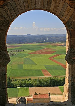 Archivo:Arco, castillo de Gormaz, Soria