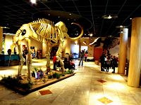 Archivo:Arizona Museum of Natural History Lobby
