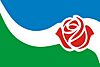 Bandera Sta Rosa de Calchines.jpg