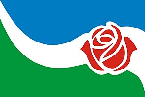 Archivo:Bandera Sta Rosa de Calchines