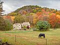 Barndoor Hills original