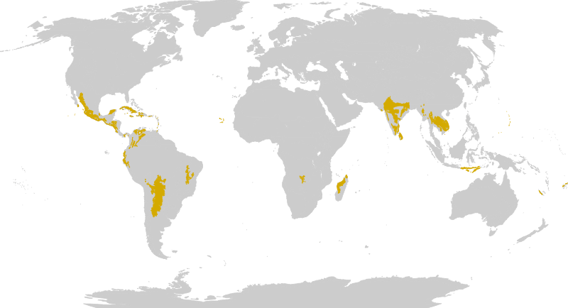 Biome map 02